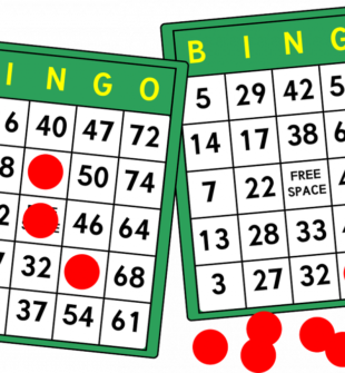 Bingohal - En Dybdegående Guide til Casino- og Spillere