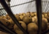 Danskespil Bingo: En omfattende guide til casinospil-entusiaster