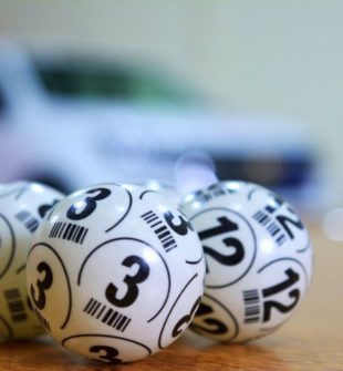 Bingo Banko Plader: En Dybdegående Gennemgang til Casino- og Spilentusiaster